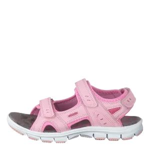 413-1341 Pink